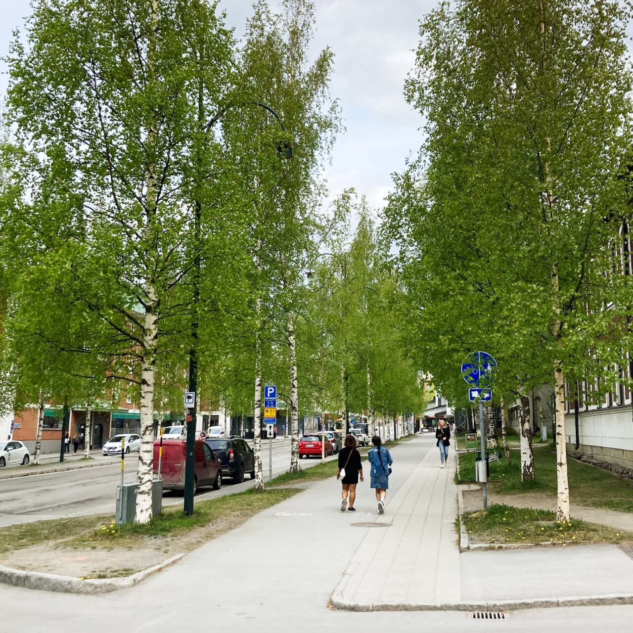 Björkallé i Östersund